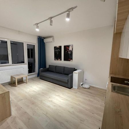 Treasure Luxury Apartment Palace Букурещ Екстериор снимка